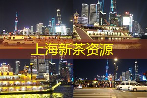 如果你爱茶，上海茶庄绝对值得一试