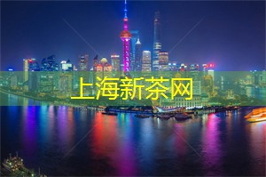 上海品茶网：搭建梦想：在上海的创业讲座