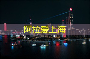 地铁换乘：上海生活的便捷